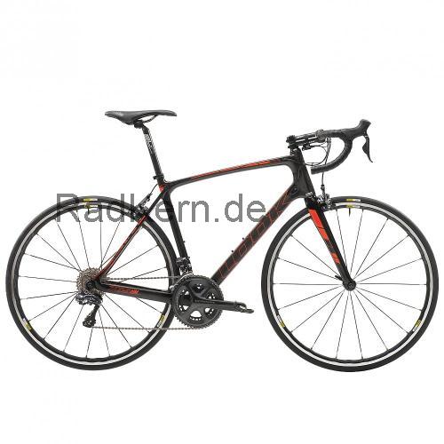 Look 765 HM  technische daten 